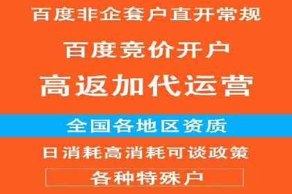 搜索引擎优化（SEO）与竞价广告（SEM）的对比案例